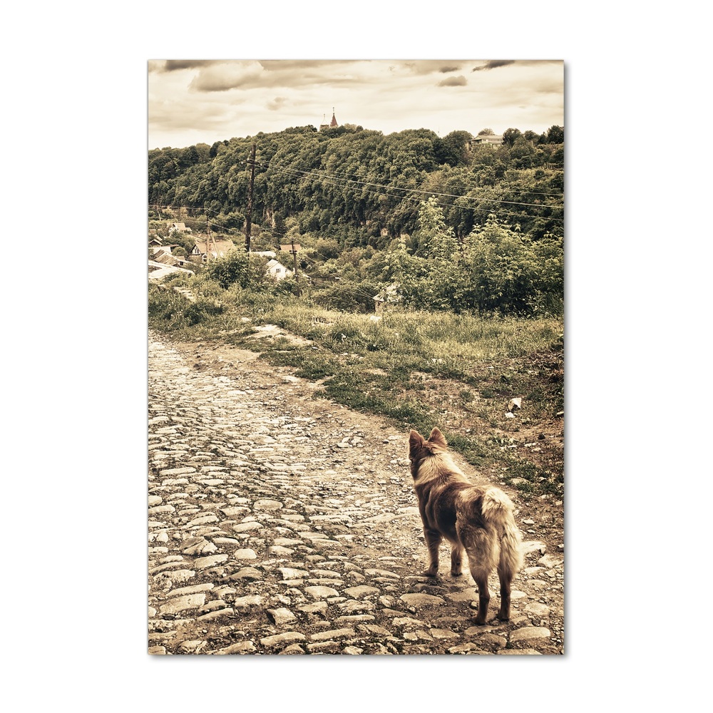 Foto obraz na szkle pionowy Dwa psy wzgórza