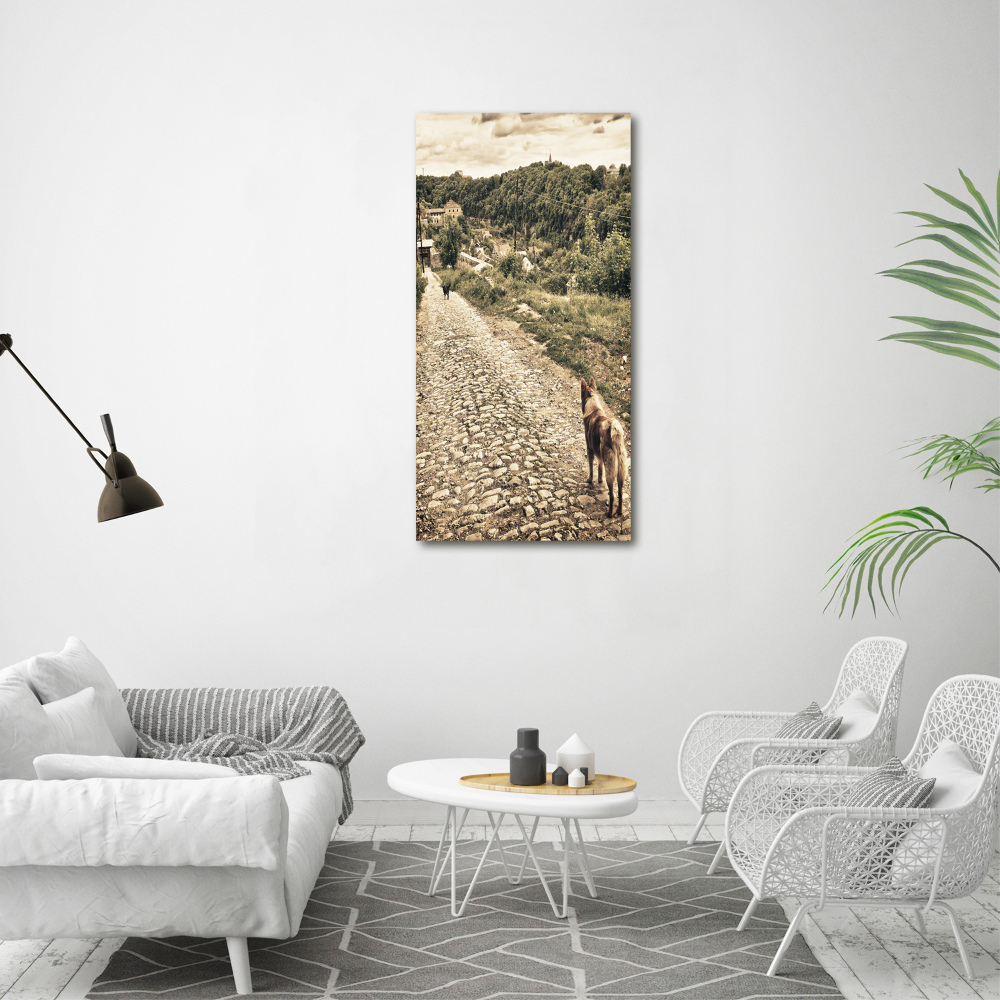 Foto obraz na szkle pionowy Dwa psy wzgórza