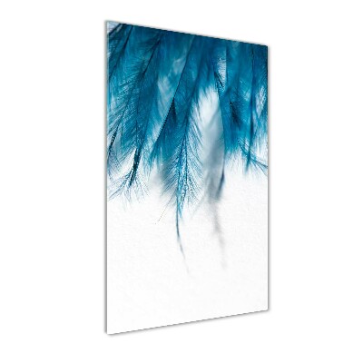 Foto obraz szklany pionowy Niebieskie pióra