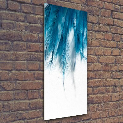 Foto obraz szklany pionowy Niebieskie pióra