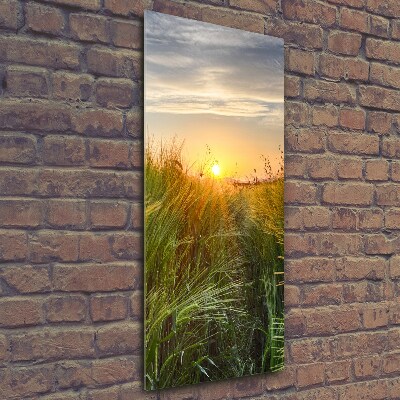 Foto obraz szkło hartowane pionowy Pole pszenicy