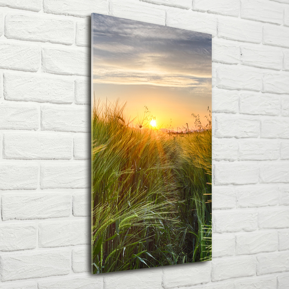 Foto obraz szkło hartowane pionowy Pole pszenicy