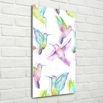 Foto obraz szklany pionowy Kolorowe kolibry
