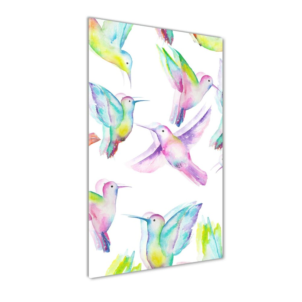 Foto obraz szklany pionowy Kolorowe kolibry