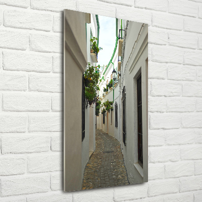 Foto obraz na szkle pionowy Uliczki Andaluzji