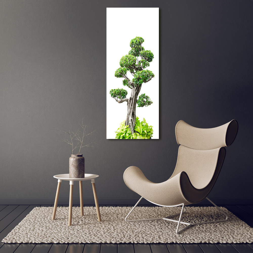 Foto obraz szkło hartowane pionowy Drzewo bonsai
