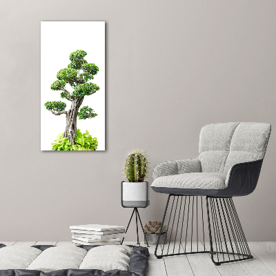 Foto obraz szkło hartowane pionowy Drzewo bonsai