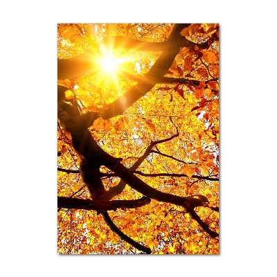 Foto obraz na szkle pionowy Jesienne drzewo
