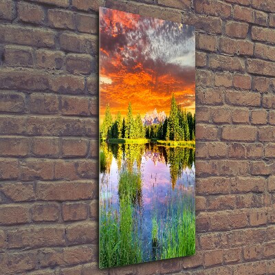 Foto obraz na szkle pionowy Jezioro w lesie
