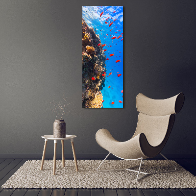 Foto obraz szkło hartowane pionowy Rafa koralowa