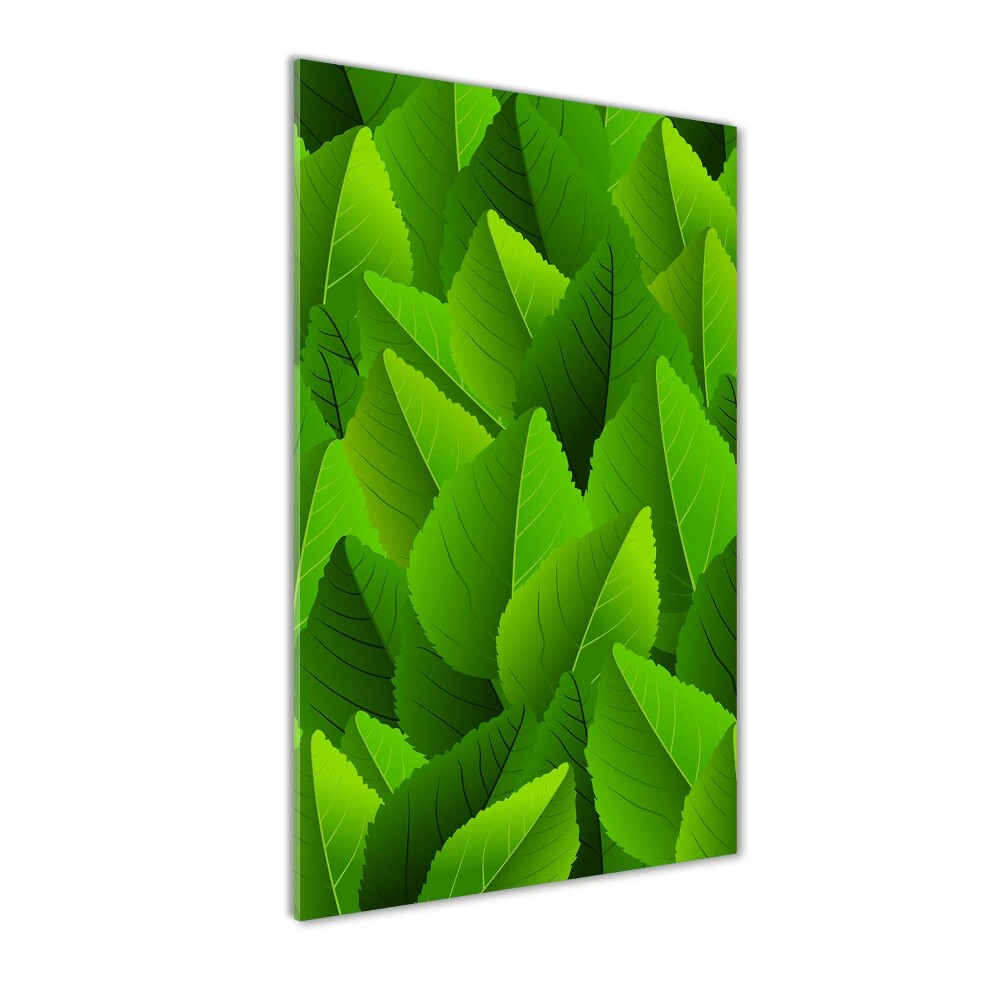 Foto obraz zdjęcie na szkle pionowy Zielone liście
