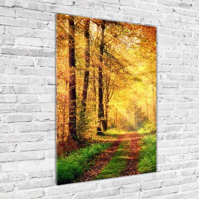 Foto obraz szkło hartowane pionowy Las jesienią