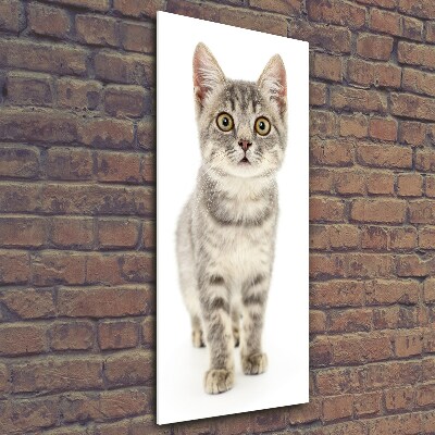 Foto obraz szkło hartowane pionowy Szary kot