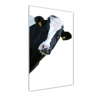 Foto obraz szkło hartowane pionowy Łaciata krowa