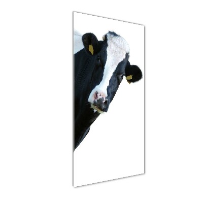 Foto obraz szkło hartowane pionowy Łaciata krowa