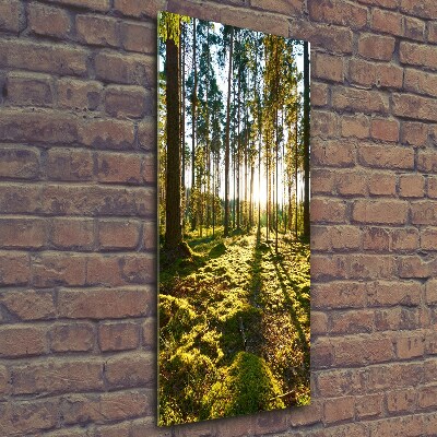 Foto obraz szkło hartowane pionowy Las sosnowy