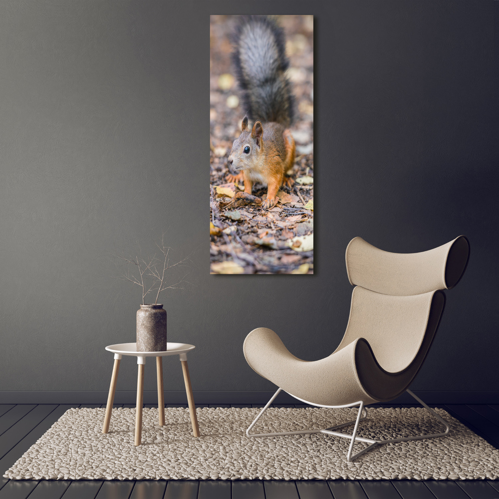 Foto obraz na szkle pionowy Wiewiórka w lesie