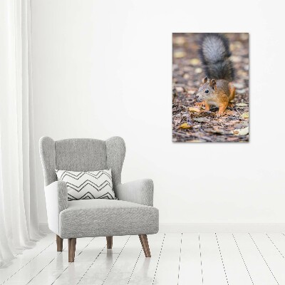Foto obraz na szkle pionowy Wiewiórka w lesie