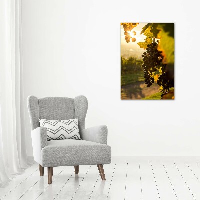 Foto-obraz zdjęcie na szkle pionowy Winnica