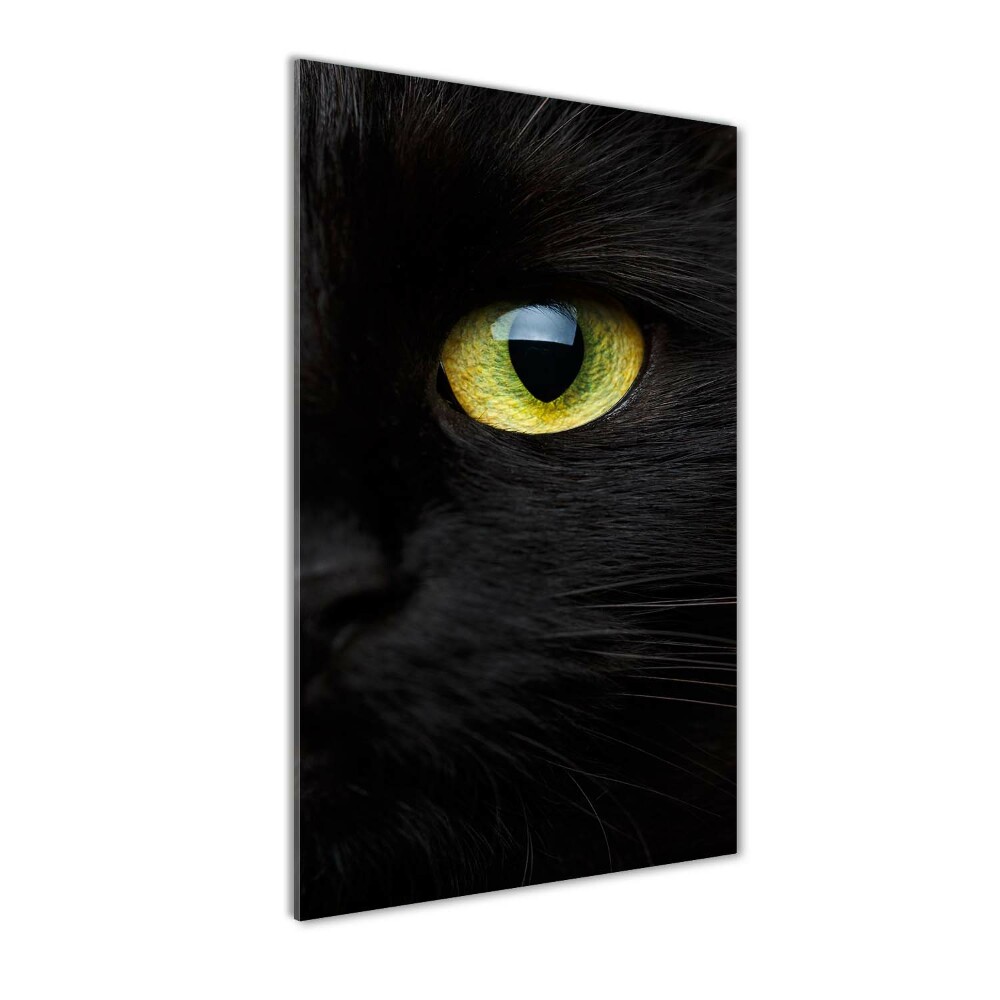 Foto obraz szkło hartowane pionowy Oczy kota