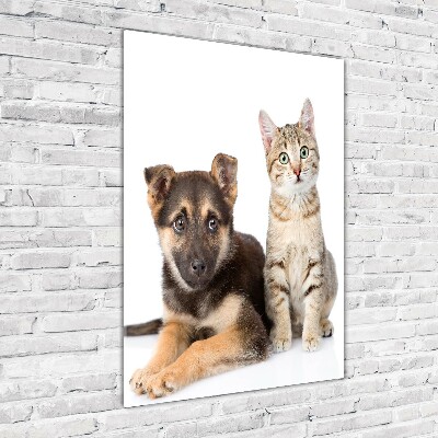 Foto obraz szkło hartowane pionowy Pies i kot