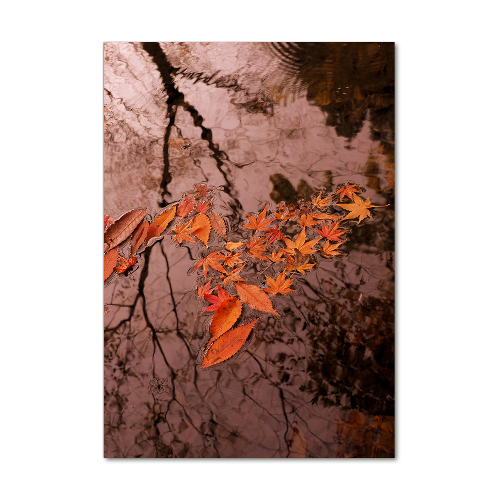 Foto obraz na szkle pionowy Jesienne liście
