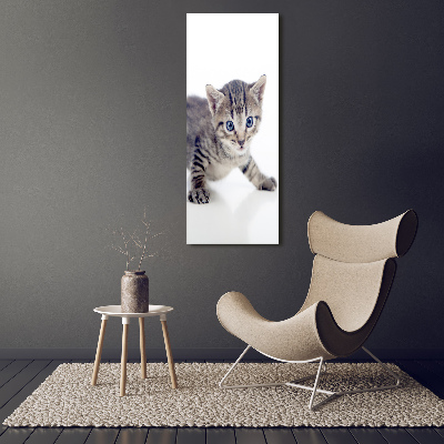 Foto-obraz szkło hartowane pionowy Mały kot