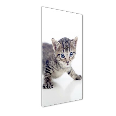 Foto-obraz szkło hartowane pionowy Mały kot