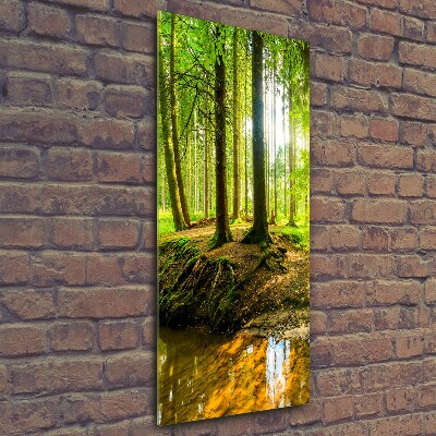 Foto obraz szklany pionowy Strumień w lasie