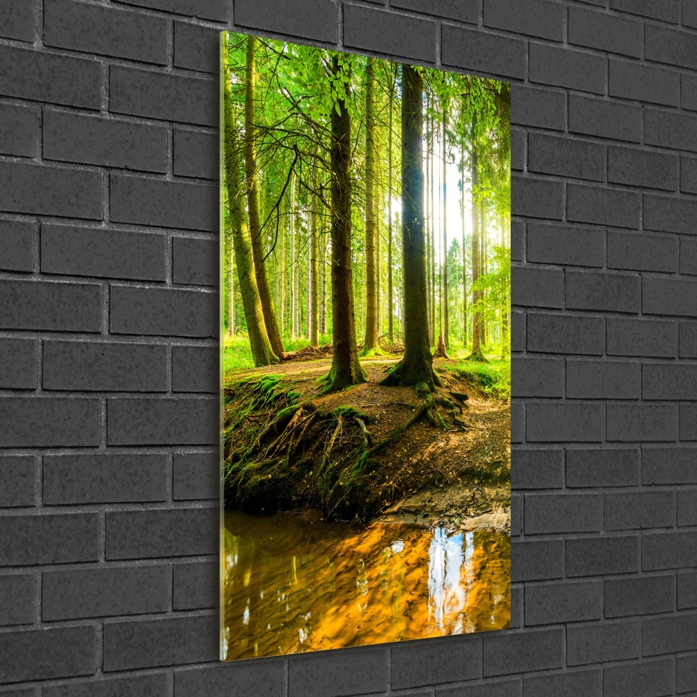 Foto obraz szklany pionowy Strumień w lasie