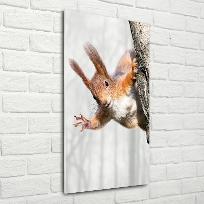 Foto obraz na szkle pionowy Wiewiórka na drzewie