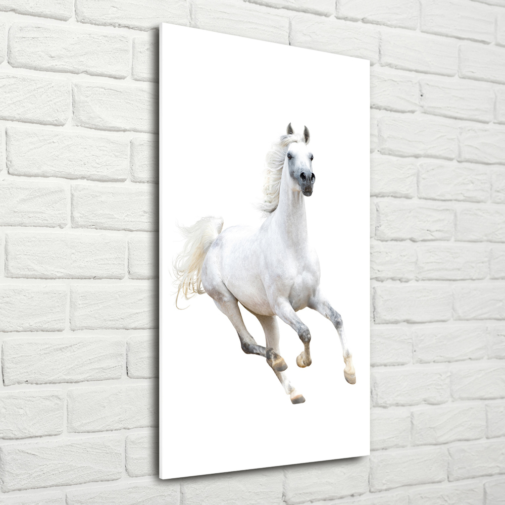 Foto obraz na szkle pionowy Biały koń w galopie