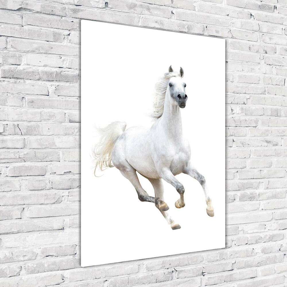 Foto obraz na szkle pionowy Biały koń w galopie