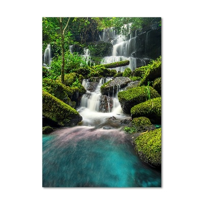 Foto obraz na szkle pionowy Wodospad w dżungli