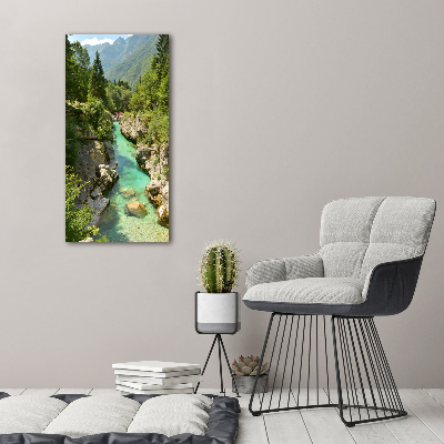 Foto obraz szkło hartowane pionowy Potok górski