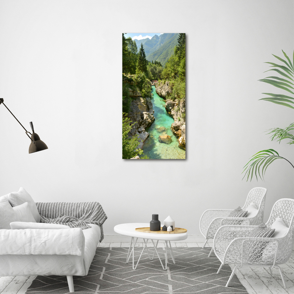 Foto obraz szkło hartowane pionowy Potok górski