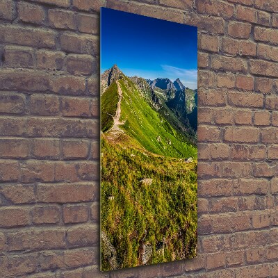 Fotoobraz szklany na ścianę do salonu pionowy Tatry