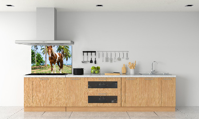 Panel dekor szkło Łaciaty koń