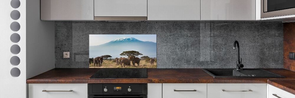 Panel lacobel Słonie Kilimandżaro