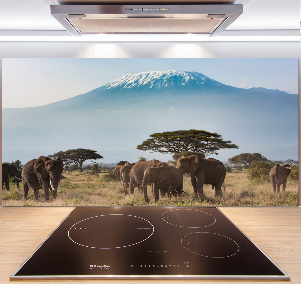 Panel lacobel Słonie Kilimandżaro
