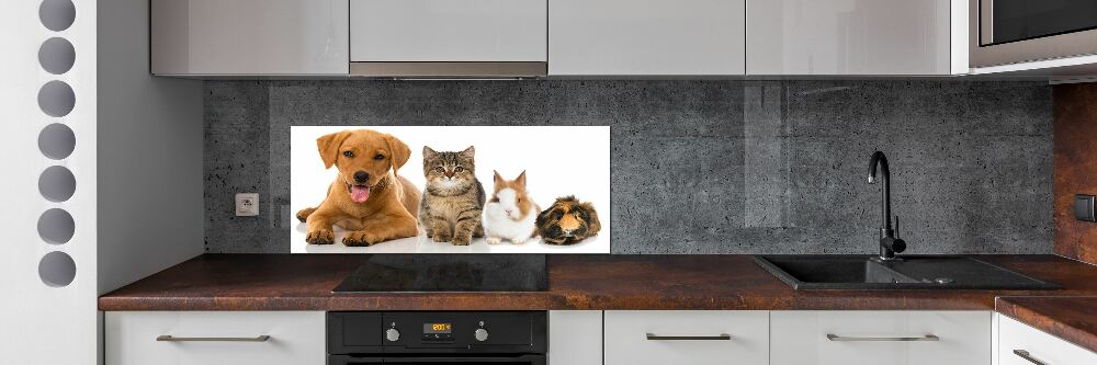 Panel dekor szkło Pies i kot