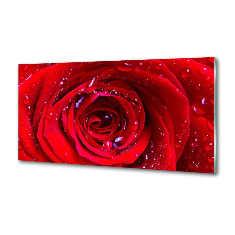 Panel dekor szkło Kwiat róży