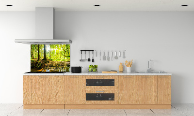 Panel do kuchni Promyki słońca las