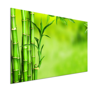 Panel szklany do kuchni Bambus