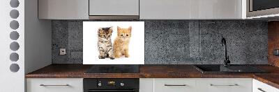 Panel do kuchni Brązowy i rudy kot