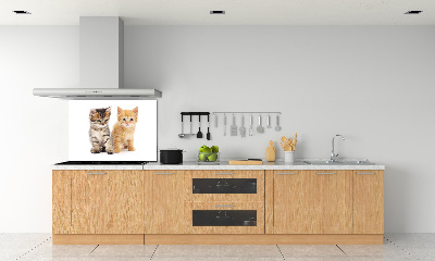 Panel do kuchni Brązowy i rudy kot