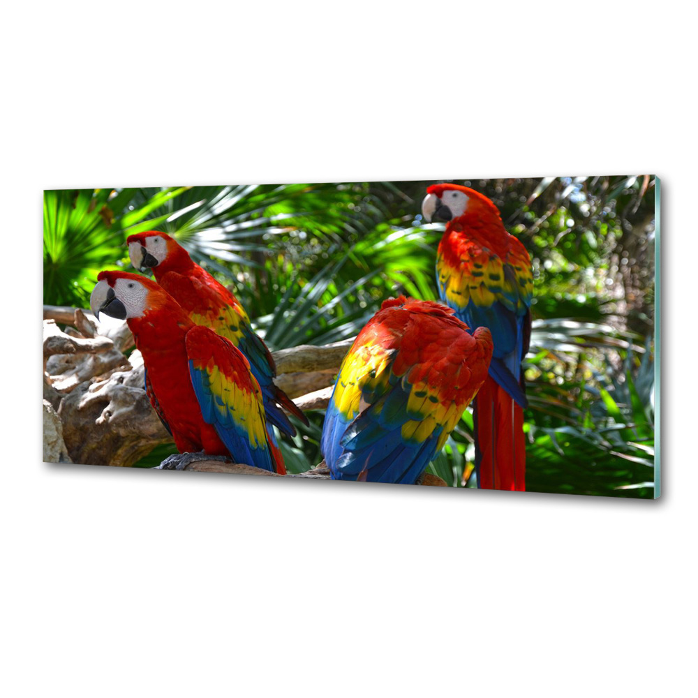 Panel dekor szkło Papugi Ary