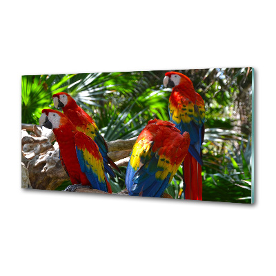 Panel dekor szkło Papugi Ary