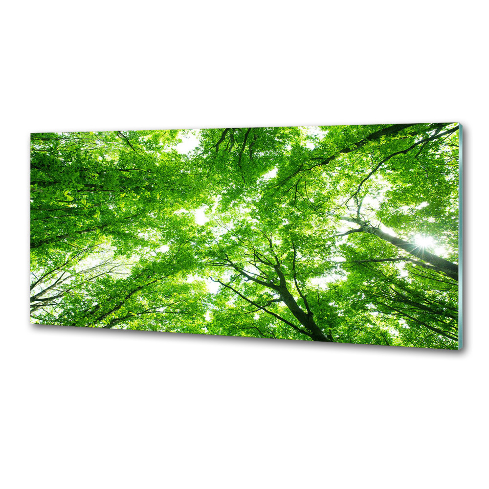 Panel dekor szkło Zielony las