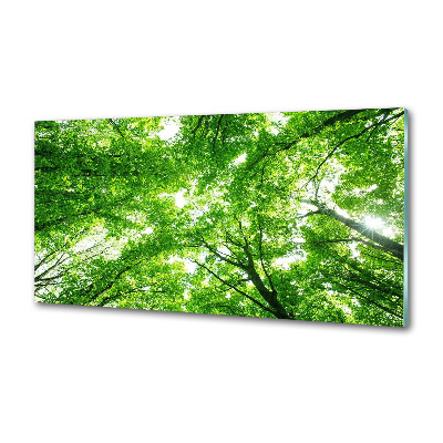 Panel dekor szkło Zielony las